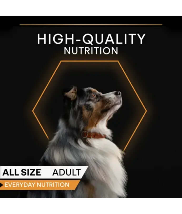 Purina - Pro Plan, Everyday Nutrition Turkey in Jelly, Adult, Wet Dog Food - 400g