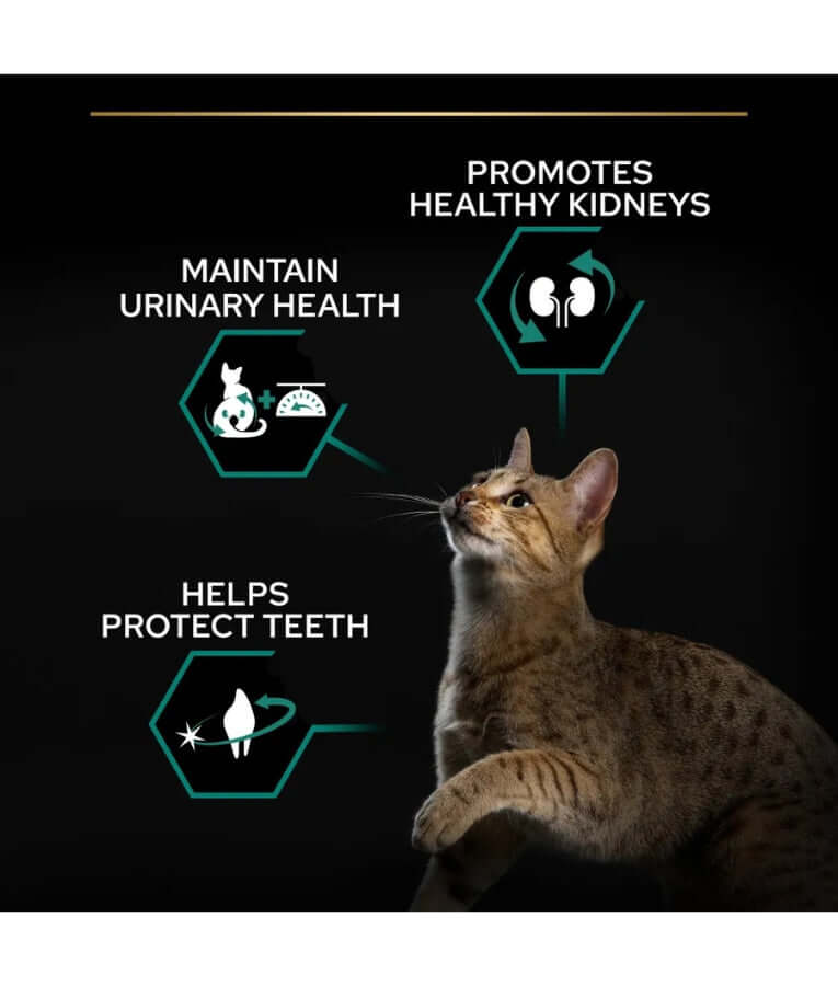 Purina - Pro Plan, Renal Plus With Salmon, Sterilised Adult Dry Cat Food - 3kg - 10kg