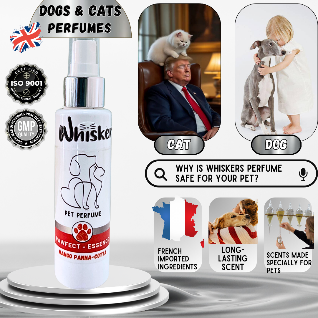 Whiskers Pet Perfume – Mango Panna Cota for Dogs & Cats
